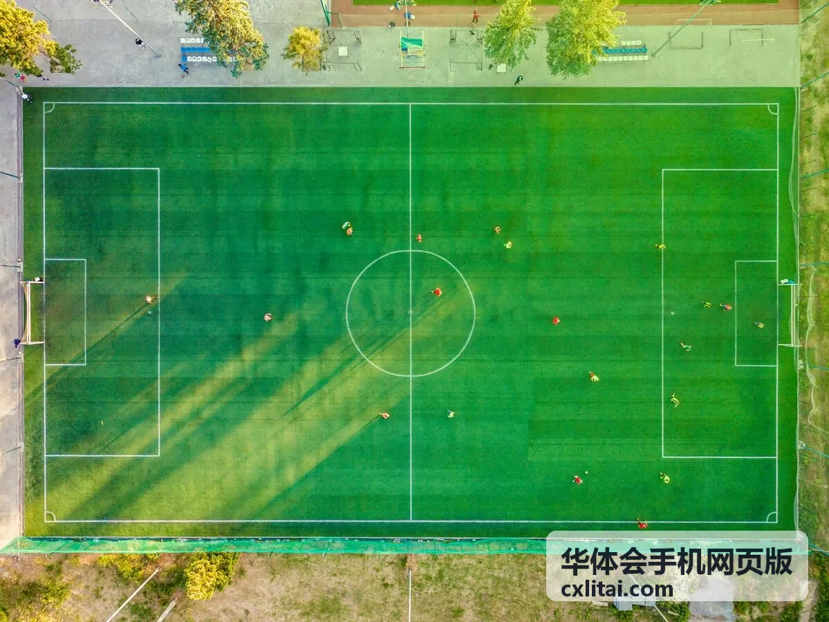 华体会手机网页版内容封面图