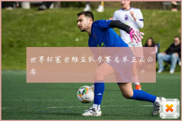 世界杯塞尔维亚队参赛名单正式公布