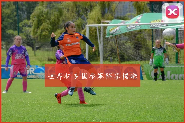 世界杯多国参赛阵容揭晓