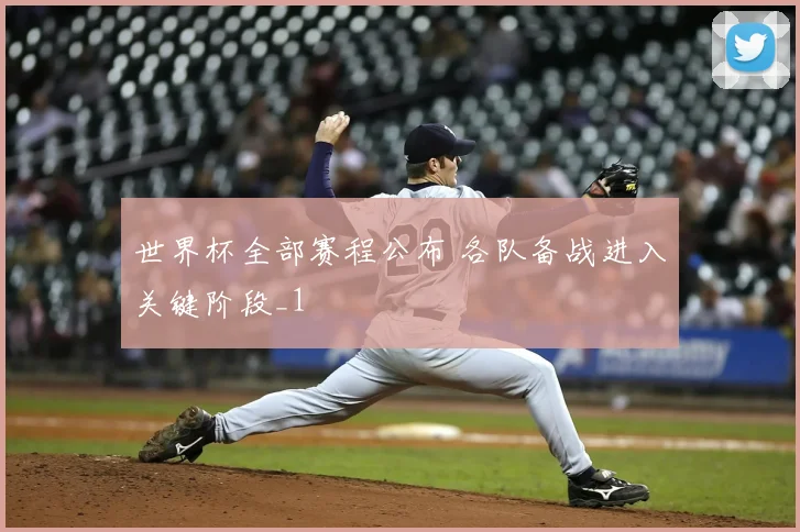 世界杯全部赛程公布 各队备战进入关键阶段_1
