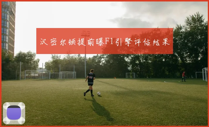 汉密尔顿提前曝F1引擎评估结果